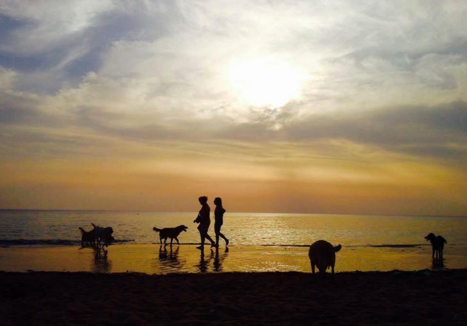 Dolce Vita Campiglia Marittima Εξωτερικό φωτογραφία