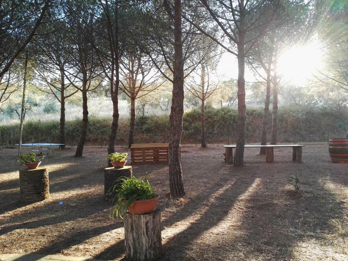 Dolce Vita Campiglia Marittima Εξωτερικό φωτογραφία